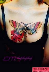 grožio krūtinė gražios spalvos drugelio tatuiruotės modelis