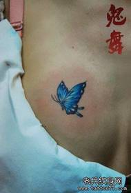 pecho delantero femenino hermoso patrón de tatuaje de mariposa popular
