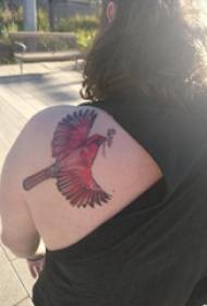 fille de tatouage épaule arrière sur les épaules des images de tatouage oiseau coloré