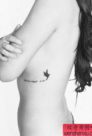 modèle de tatouage oiseau beauté poitrine mode lettre