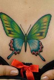 pola tato dada: pola tato kupu-kupu warna dada populer klasik