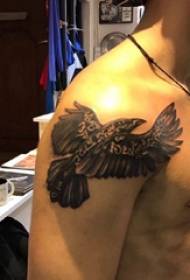 tattoo eagle patroon mannelijke schouder eagle tattoo patroon