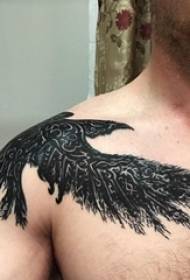 tattoo ງ່າຍດາຍຜູ້ຊາຍ shoulder shoulder black crow ຮູບ tattoo
