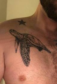 skulder enkel tatovering mannlige skulder femspissede stjerne- og skilpadde tatoveringsbilder