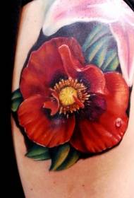 rangi ya bega poppies ya kweli na tattoo ya umande