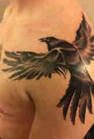 Dav dawb hau tattoo txawv cov tub hluas lub xub pwg Eagle tattoo txawv