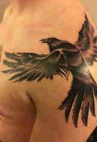 Modello di tatuaggio di aquila spalla di ragazzi Modello di tatuaggio di aquila