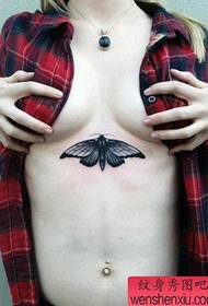 胸に美しい蝶のタトゥーパターン57600-胸人気のニホンジカのタトゥーパターン
