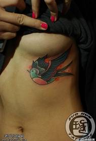 modello di tatuaggio rondine color torace femminile