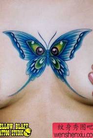 一幅胸部蓝色蝴蝶纹身图案