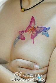 Beauty Brust schöne Schmetterling Tattoo Muster