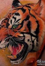 vīrieša priekšējā krūtīs dominējošā vēsā krāsas tīģeris galvas tetovējuma raksts