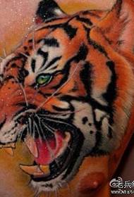 Pria dada depan mendominasi warna keren pola tato kepala harimau