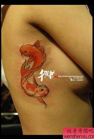 美麗的胸部美麗流行的顏色小魷魚紋身圖案