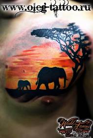 patrón de tatuaje de elefante fresco en el pecho del hombre