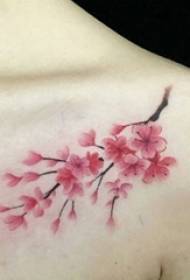 tato gadis plum bahu berwarna tato gambar 58173-flower tubuh tato Inggris gadis bahu hitam kata bahasa Inggris gambar tato
