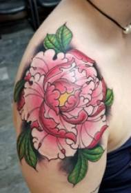 Tattoo Peony cvijet djevojka ramena boja peony tattoo slika