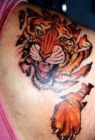 modello tatuaggio tigre colore spalla