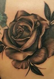 rose tatuaggio ragazza spalla dipinta rose e immagini tatuaggio farfalla