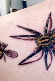 Spider Tattoo Boy Shoulder Bee ja Spider Tattoo Pilt