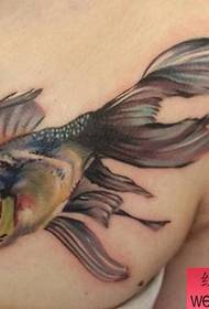 タトゥーショーバーは胸色の金魚のタトゥーパターンを推奨しています