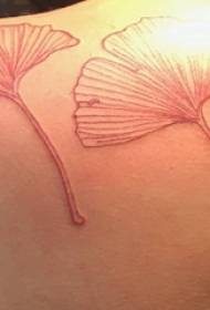 ʻO Ginkgo biloba tattoo kaikamahine haki ʻulaʻula ginkgo leaf tattoo kiʻi