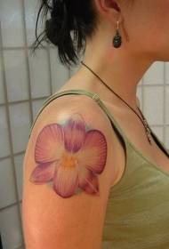 vrouwelijke schouder realistische roze orchidee tattoo patroon