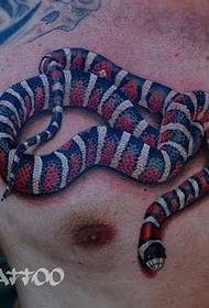 pieptul bărbatului frumos și frumos șarpe de culoare europeană și americană model tatuaj