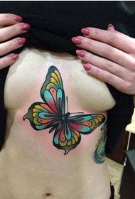美胸只有美麗的顏色蝴蝶紋身圖片圖片