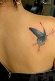 färg fjäril axel tatuering
