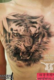 krūtinės tigro tatuiruotes dalijasi tatuiruotės