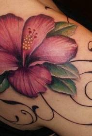 virina ŝultra koloro Havaja floro tatuaje