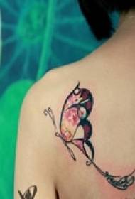 tatuagem de borboleta de temperamento bonito