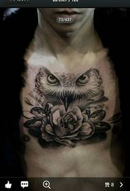 ເດັກຊາຍຮູບແບບ tattoo owl ຫນ້າເອິກທີ່ເປັນທີ່ນິຍົມ