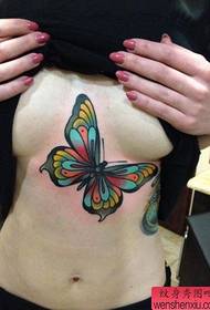 beauté poitrine belle couleur tatouage papillon