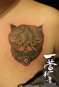 jente bryst tatovering katt tatovering mønster