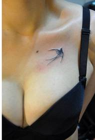 beauty chest simple fashion good-looking little swallow tattoo figure Picture