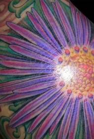 modello di tatuaggio fiore aster enorme colore della spalla