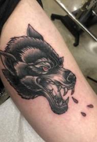 Kapající krev vlčí hlava tetování muž student paže na černém kapající krev vlčí hlavy tetování obrázek