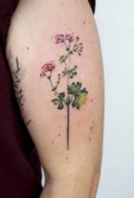 9 kis virágos tetoválás kép a karján