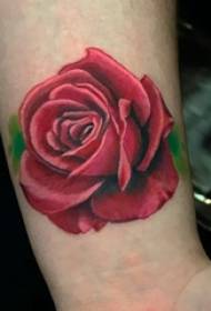 Rose tattoo pictiúr cailín péinteáilte ardaigh tattoo pictiúr ar lámh