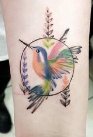 Tattoo braç de nen d'ocell a la imatge rodona i tatuatge d'aus