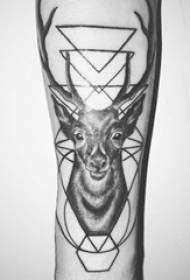 幾何学と鹿のタトゥー画像に腕のタトゥー画像の女の子の腕