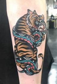 Foto tatuaggio animale Baile animale maschio braccio braccio serpente e tigre