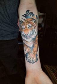 Baile Animal Tattoo Male Student Arm Painted Tiger Tattoo Picture