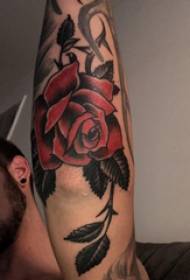 Fleur de tatouage rose peint image de tatouage rose sur le bras du garçon