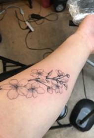 Tatuaggio di fiori di ciliegio, braccio della ragazza, cenere nera, foto di fiori di ciliegio