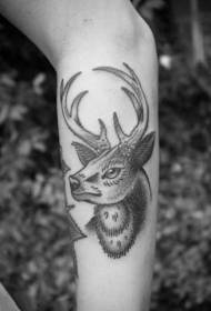 Cadro de tatuaje de brazo elegante e en constante cambio de patrón de tatuaxe