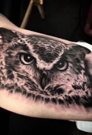 Owl tattoo ruoko ruoko pane dema owl tattoo pikicha