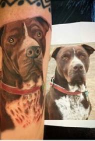 Puppy tattoo slika fant slika naslikana psička slika na roko
